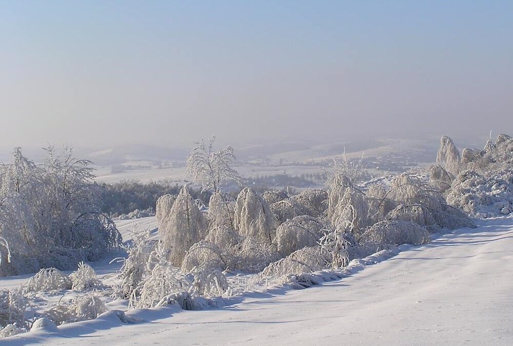 Ferie zimowe na Roztoczu – idealny czas na aktywny wypoczynek w pięknych okolicznościach przyrody