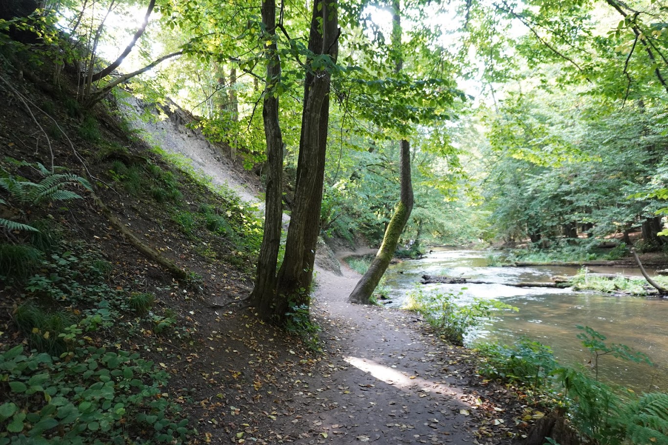 Szlak przyrodniczy przez rezerwat Szumy nad Tanwią