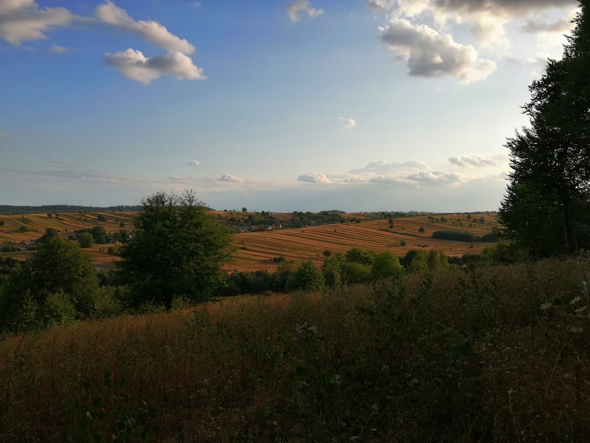 Widok z Bukowej Góry