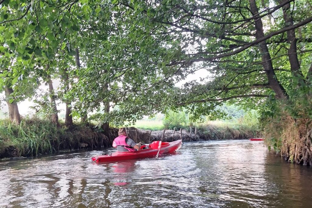 Widok z kajaka podczas spokojnego spływu po rzece na Roztoczu